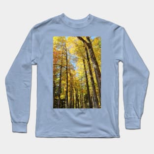 Autumn sun through the trees Long Sleeve T-Shirt